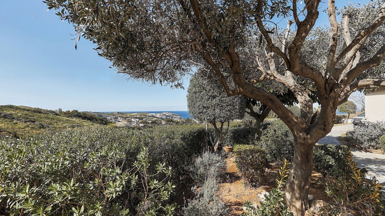 Photo of Outdoor in Agia Pelagia