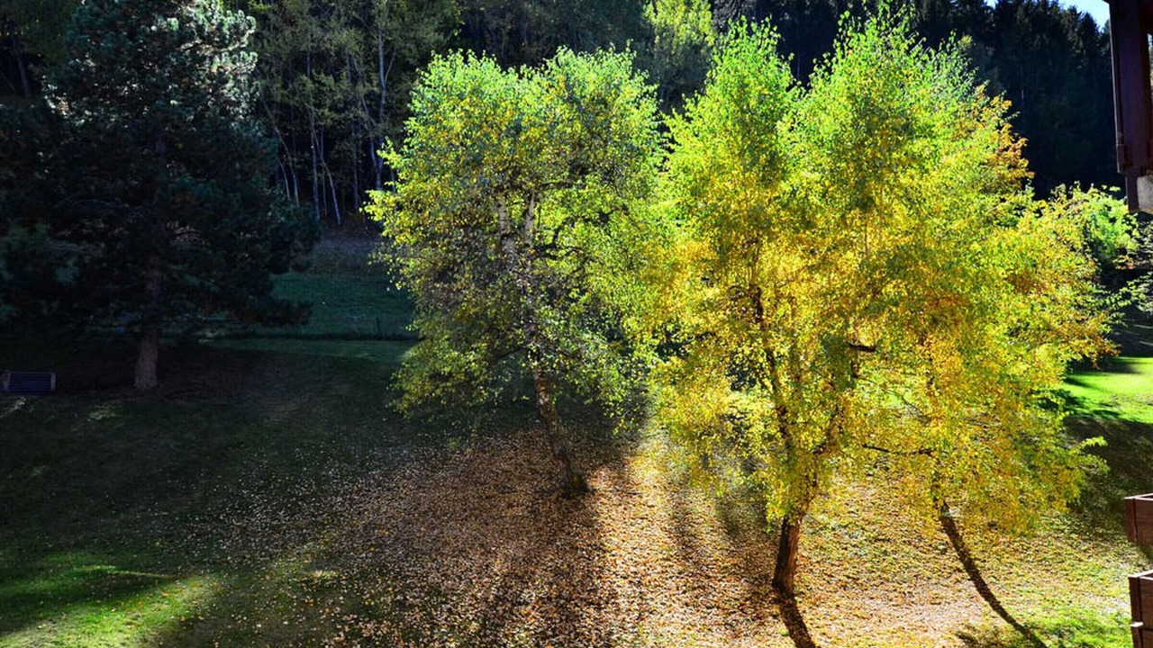 Photo of Outdoor in Montchavin