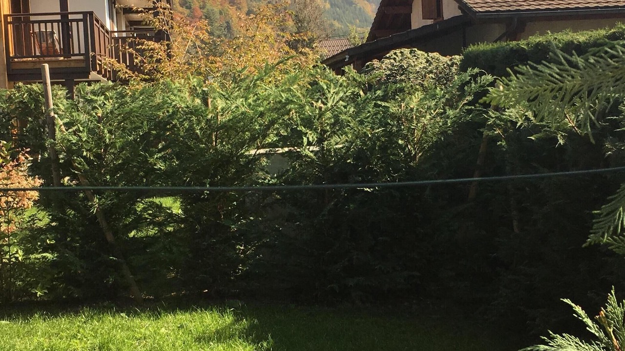 Photo of Outdoor in Samoens