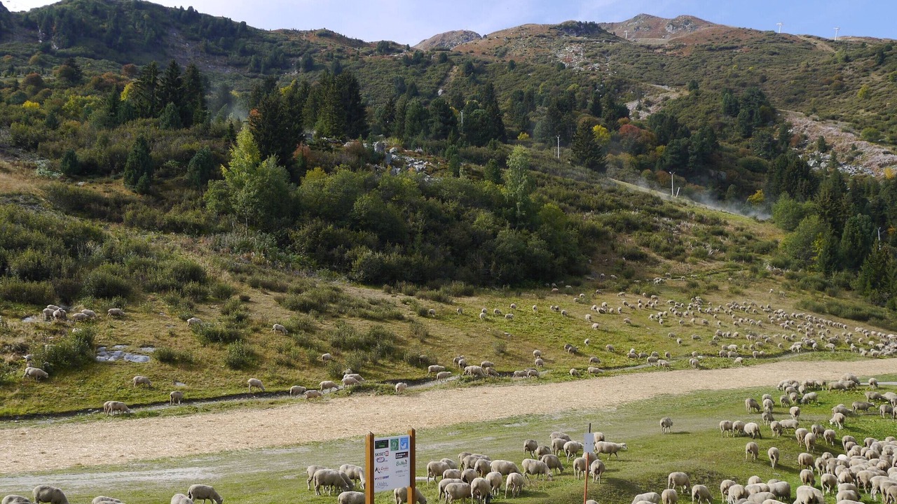 Photo of Others in Meribel-Mottaret