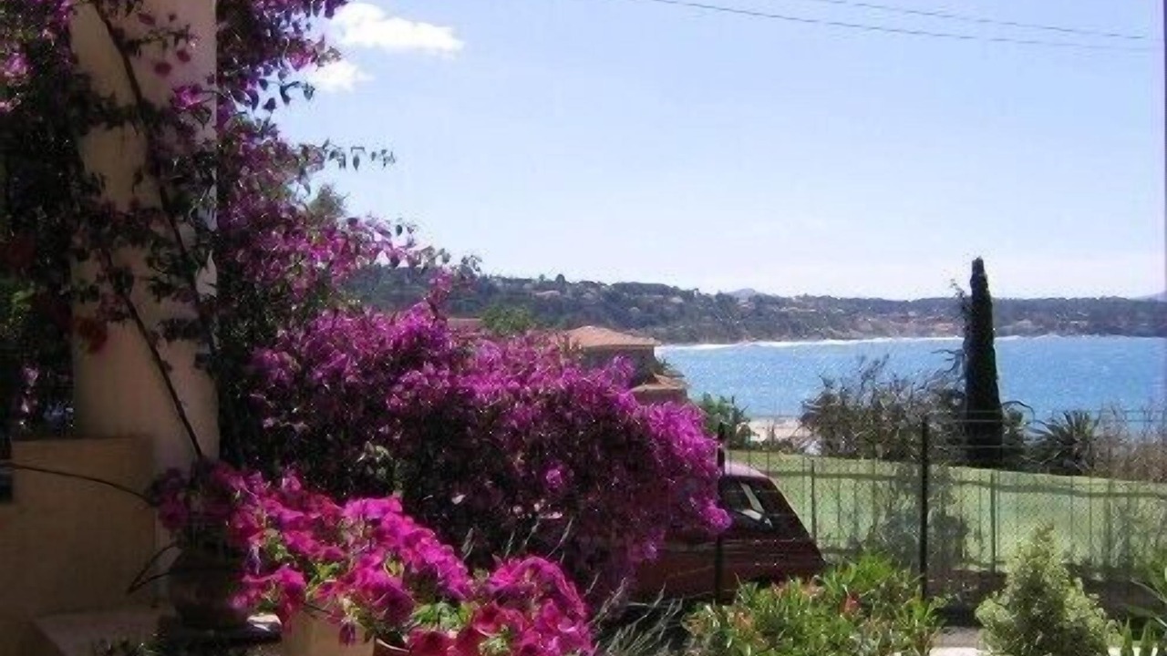 Photo of Others in Bandol