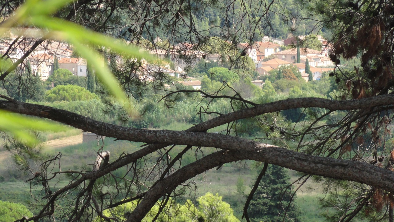 Photo of Outdoor in La Motte
