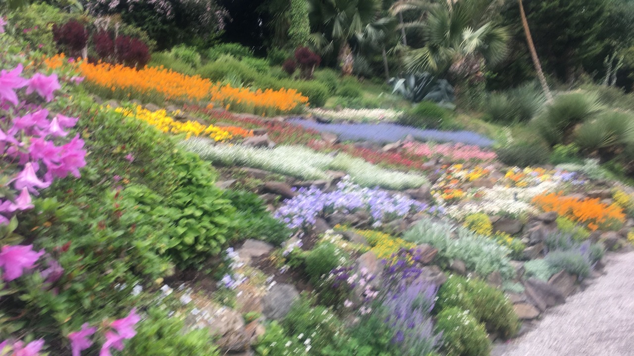 Photo of Outdoor in Sainte-Maxime