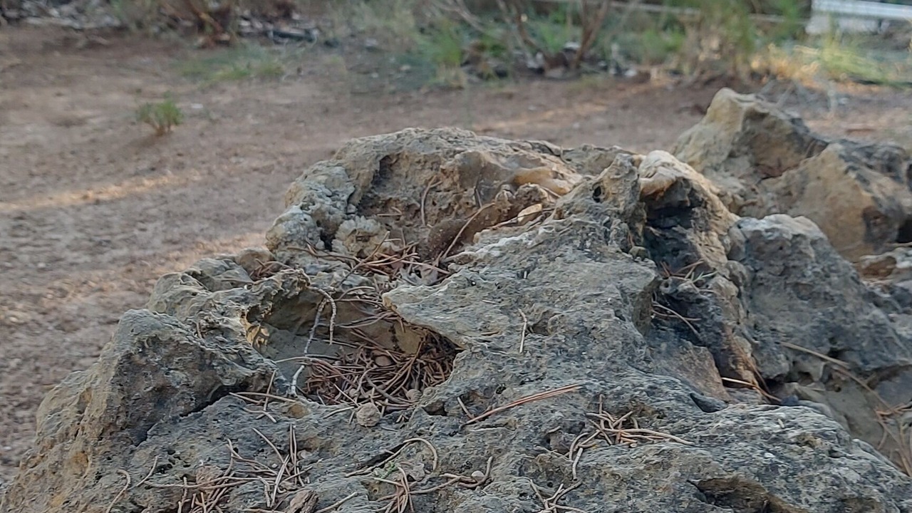Photo of Outdoor in Carces