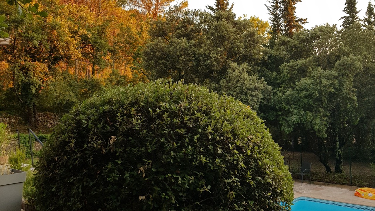 Photo of Outdoor in Carces