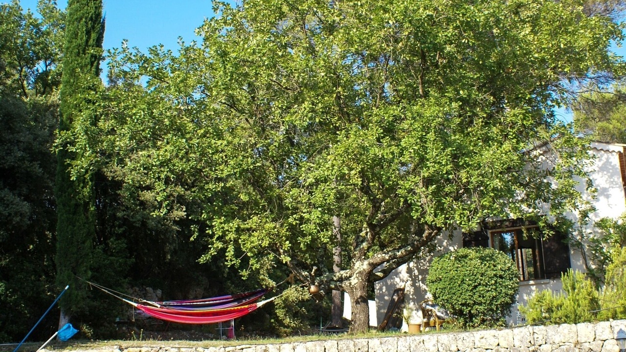 Photo of Outdoor in Carces
