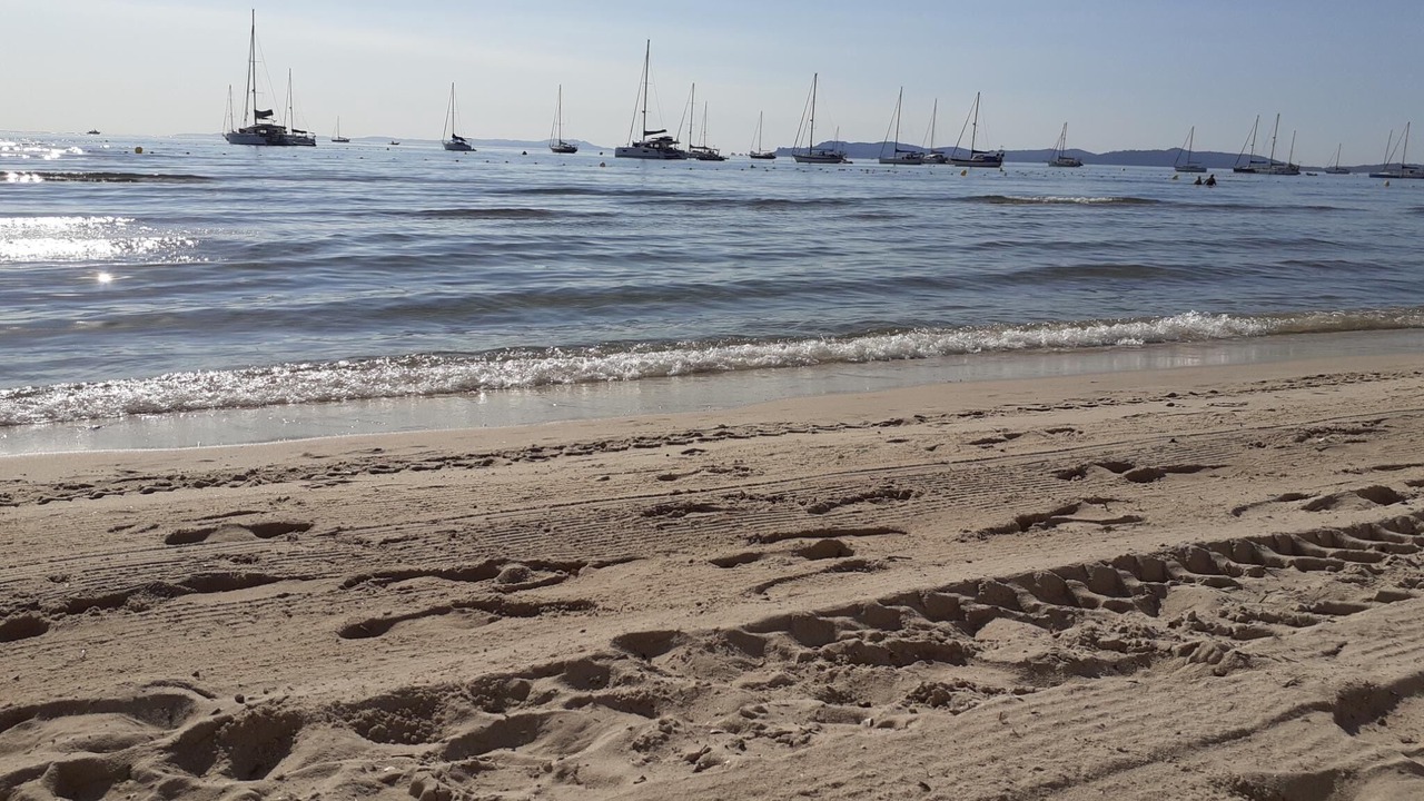 Photo of Others in Hyeres