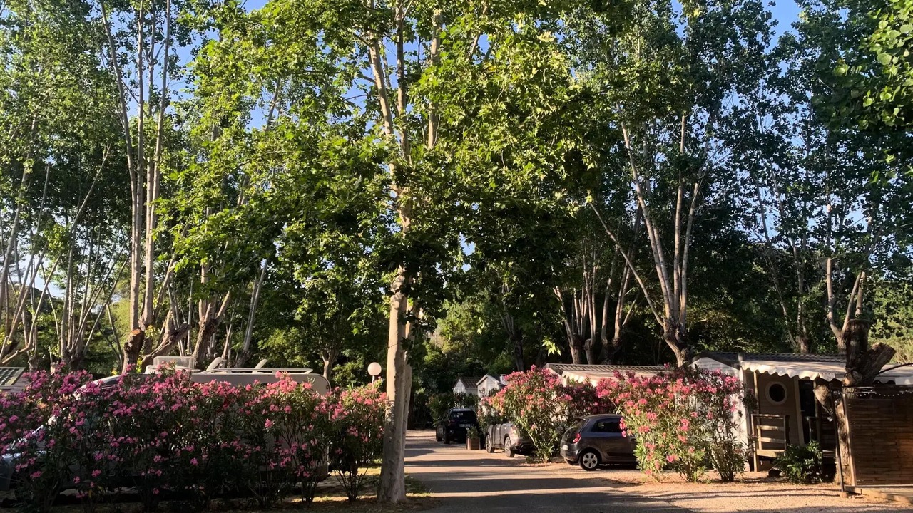 Photo of Outdoor in Carces