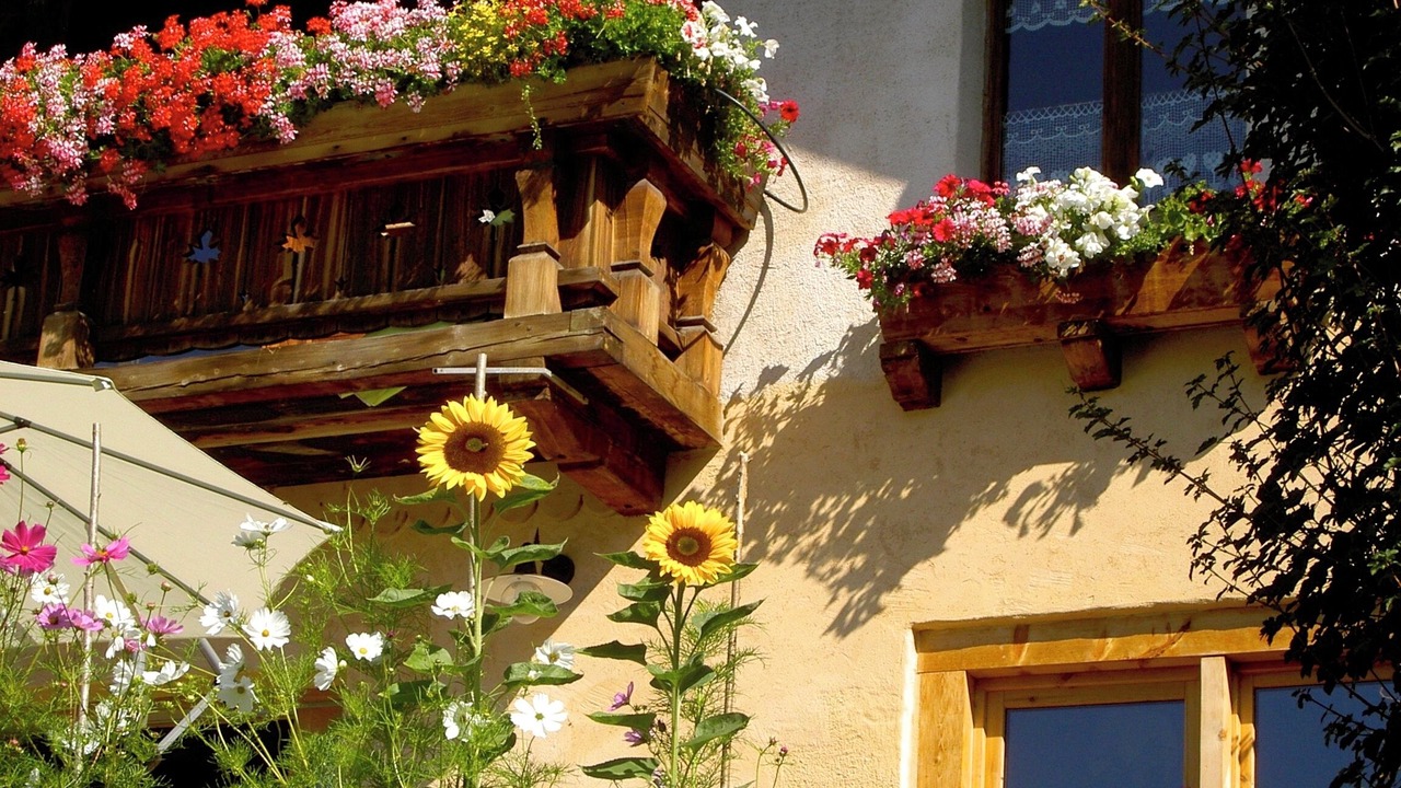 Photo of Outdoor in Servoz