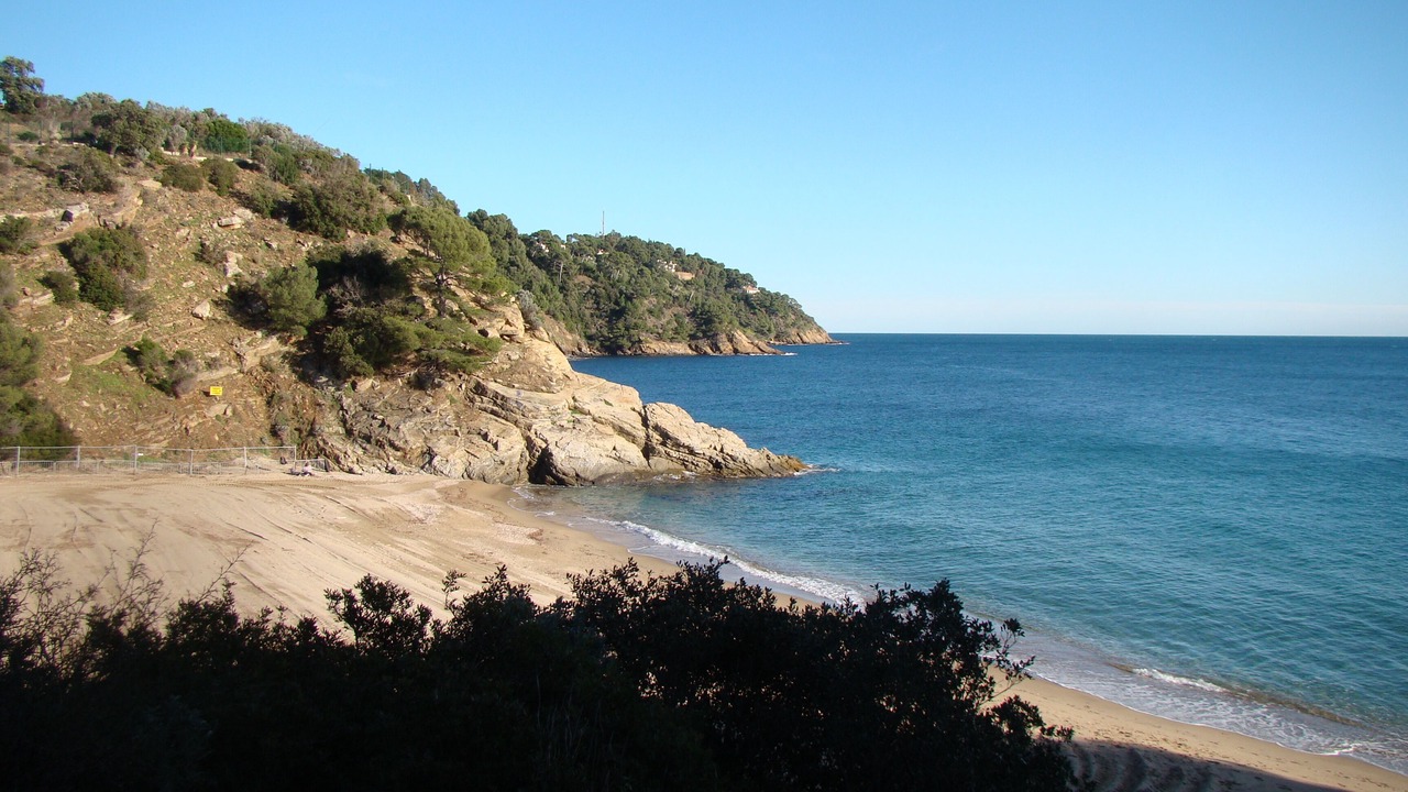 Photo of Others in Cavaliere