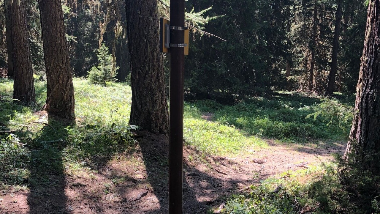 Photo of Outdoor in Arc-1800