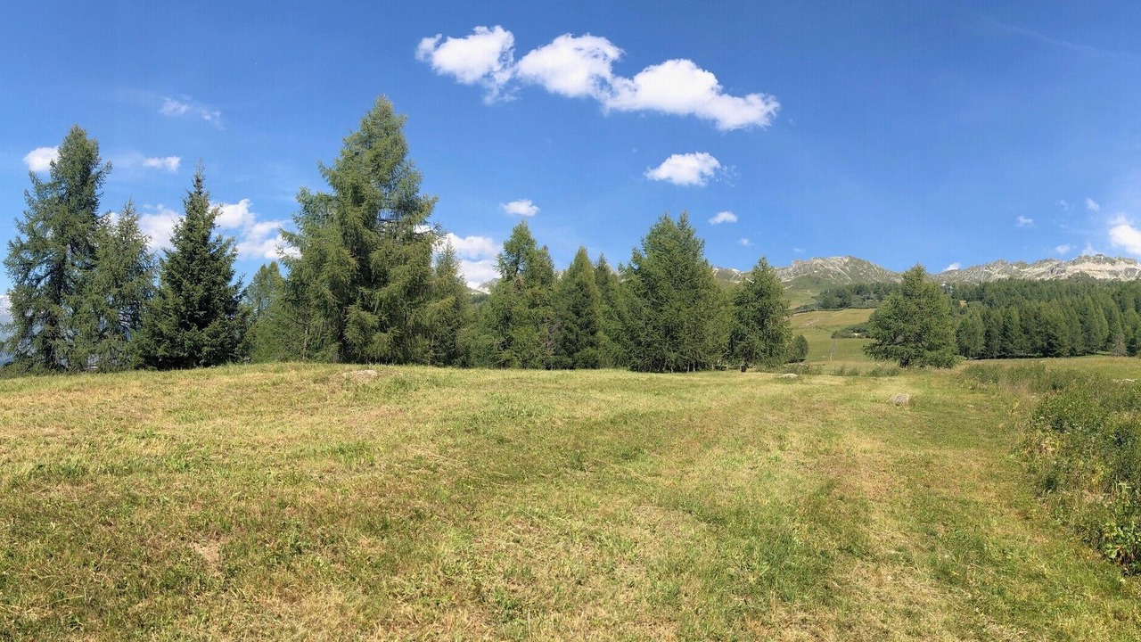 Photo of Outdoor in Arc-1800