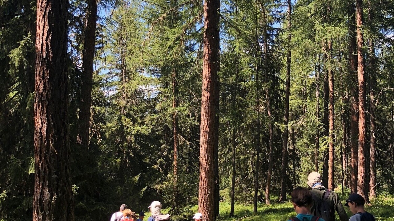 Photo of Outdoor in Arc-1800