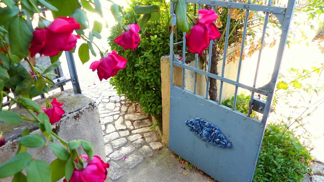 Photo of Outdoor in Billy