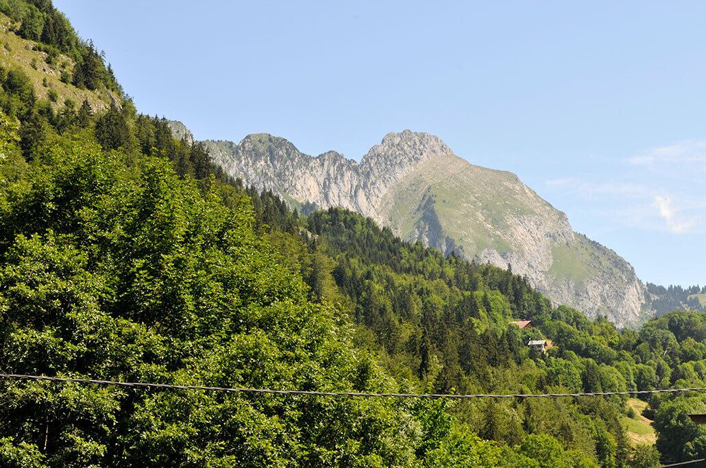 Photo of Others in Abondance