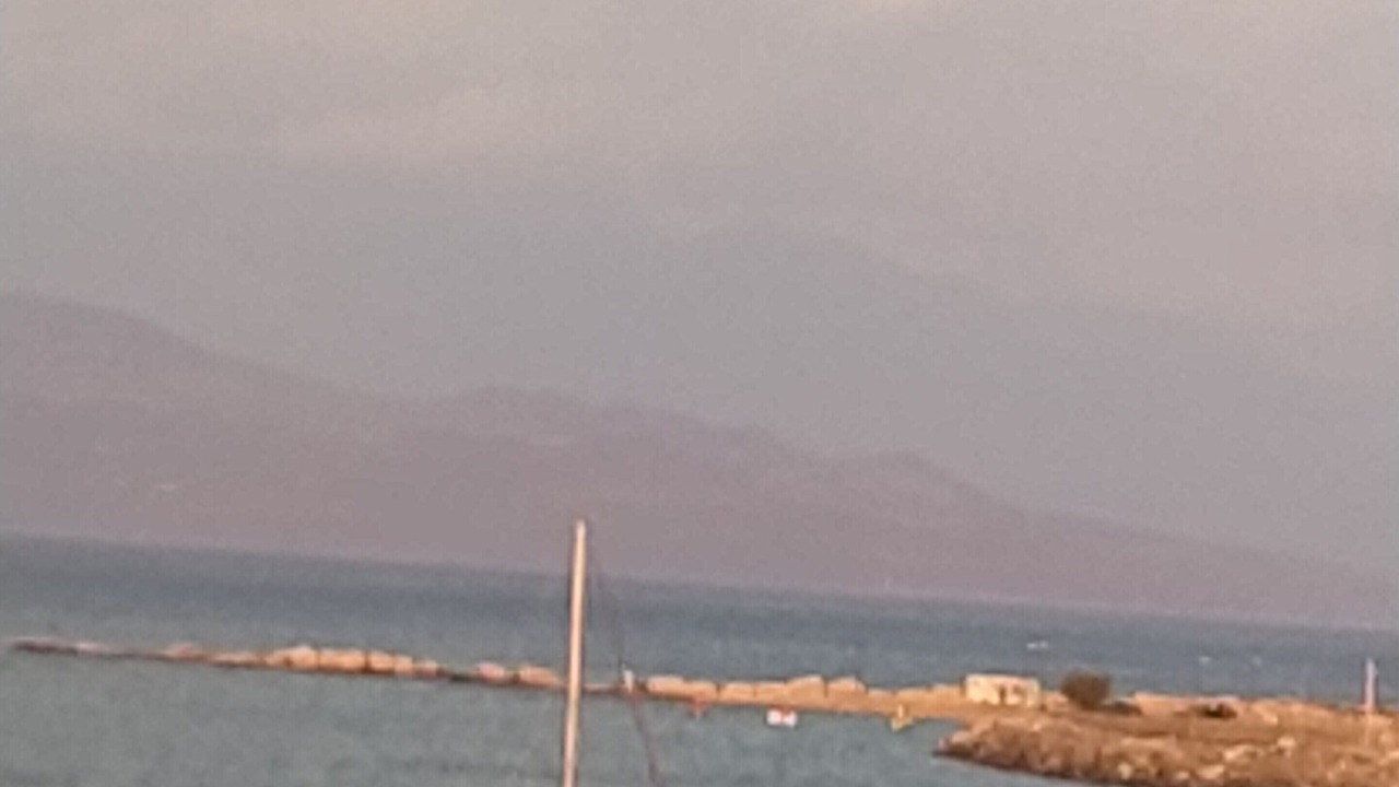 Photo of Others in Petalidi
