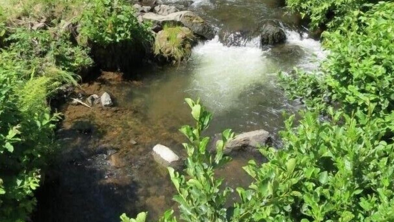 Photo of Others in Besse-en-Chandesse