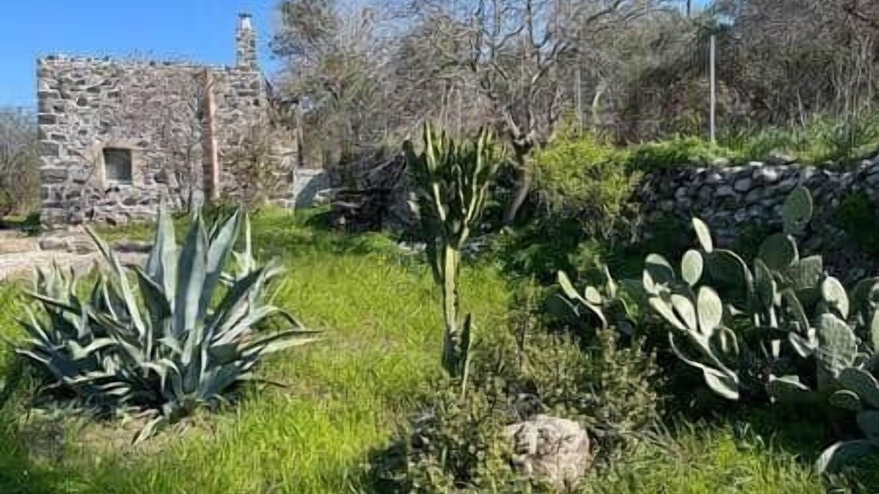 Photo of Outdoor in Nisyros