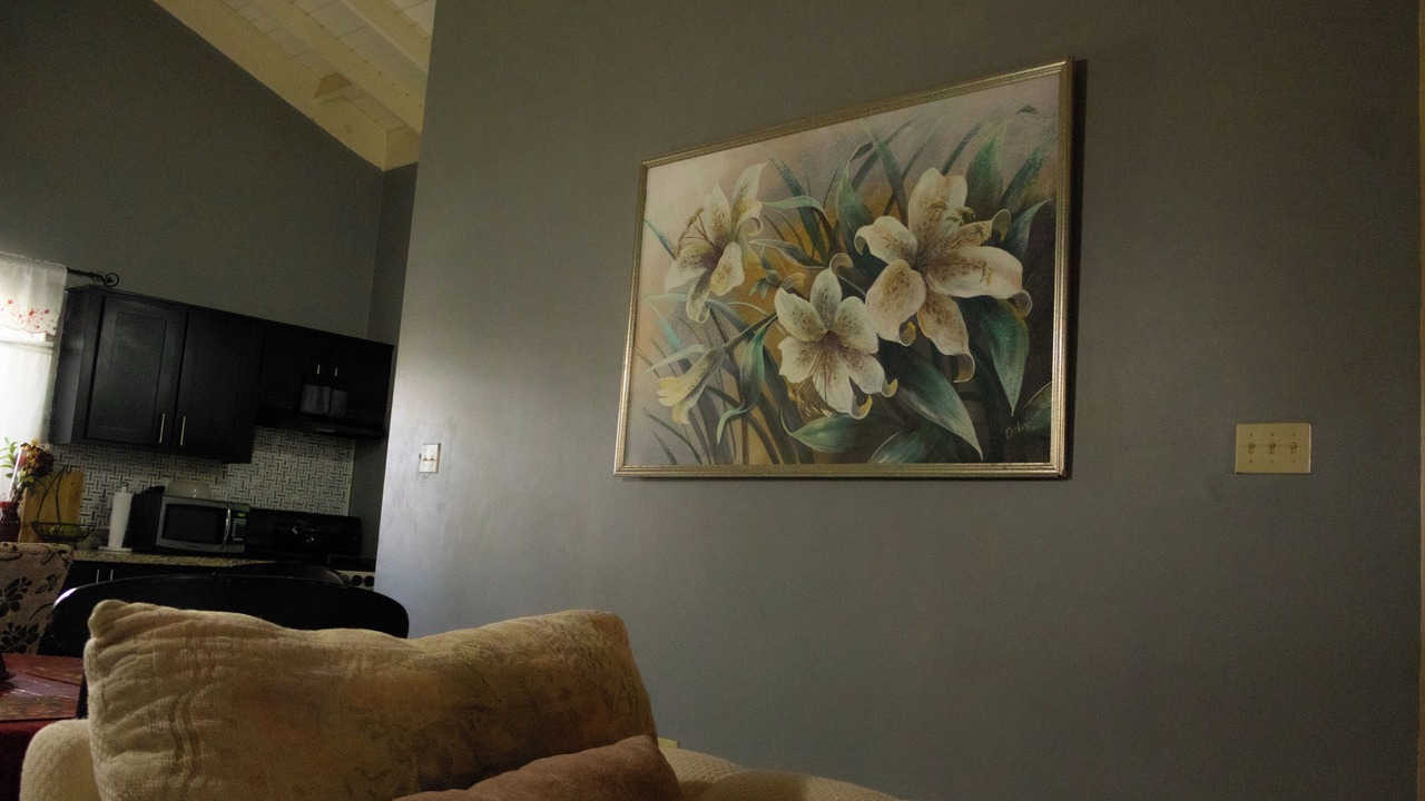 Photo of Livingroom in St. Ann's Bay
