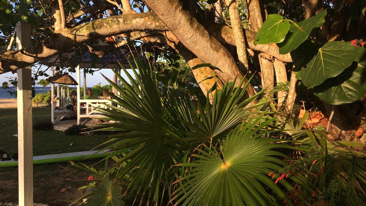 Photo of Outdoor in Runaway Bay