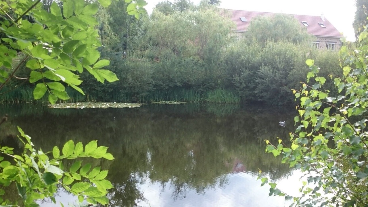Photo of Outdoor in Saint-Jacques-d'Ambur