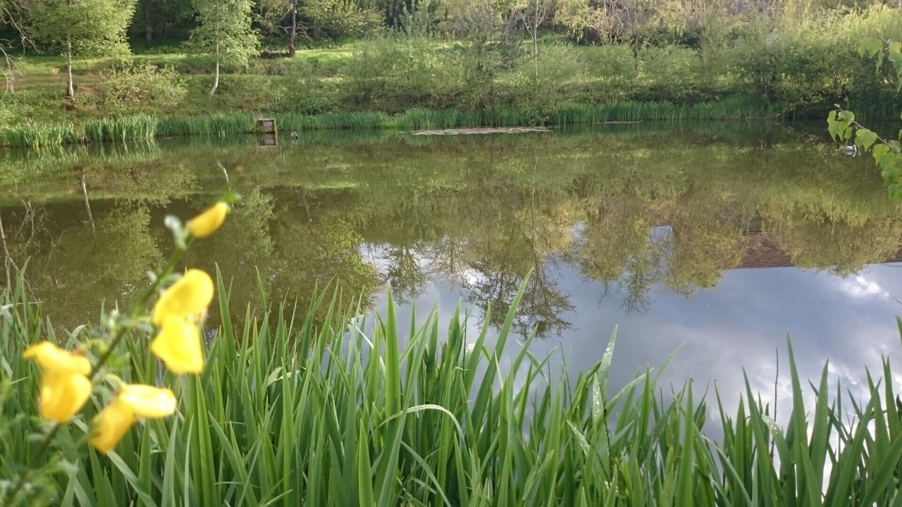 Photo of Others in Saint-Jacques-d'Ambur