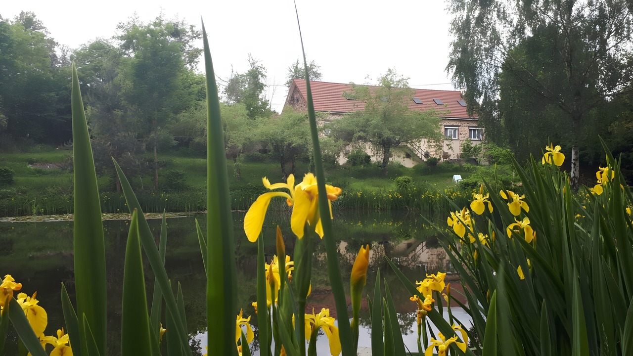 Photo of Outdoor in Saint-Jacques-d'Ambur