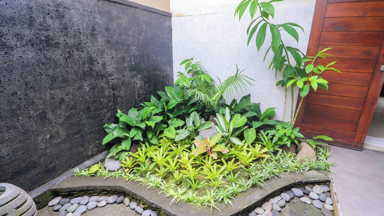 Photo of Outdoor in Melayang
