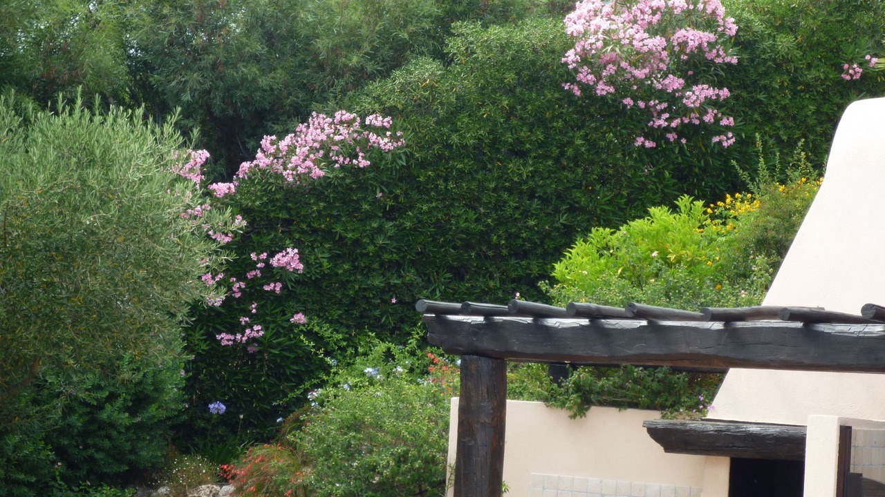 Photo of Outdoor in Cavalaire-sur-Mer