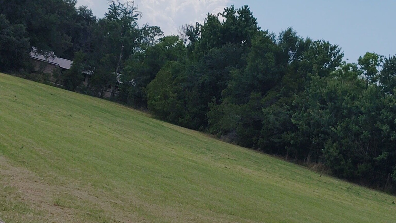 Photo of Others in Seffner