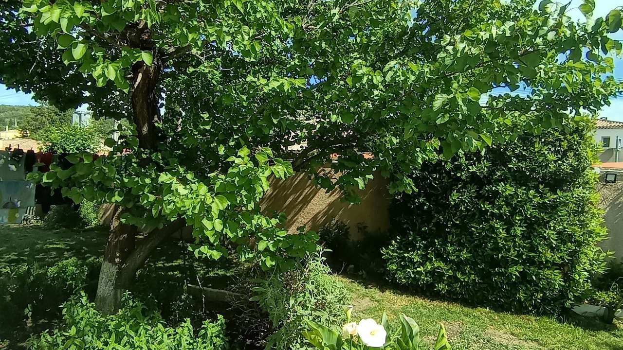 Photo of Outdoor in Saint-Chamas