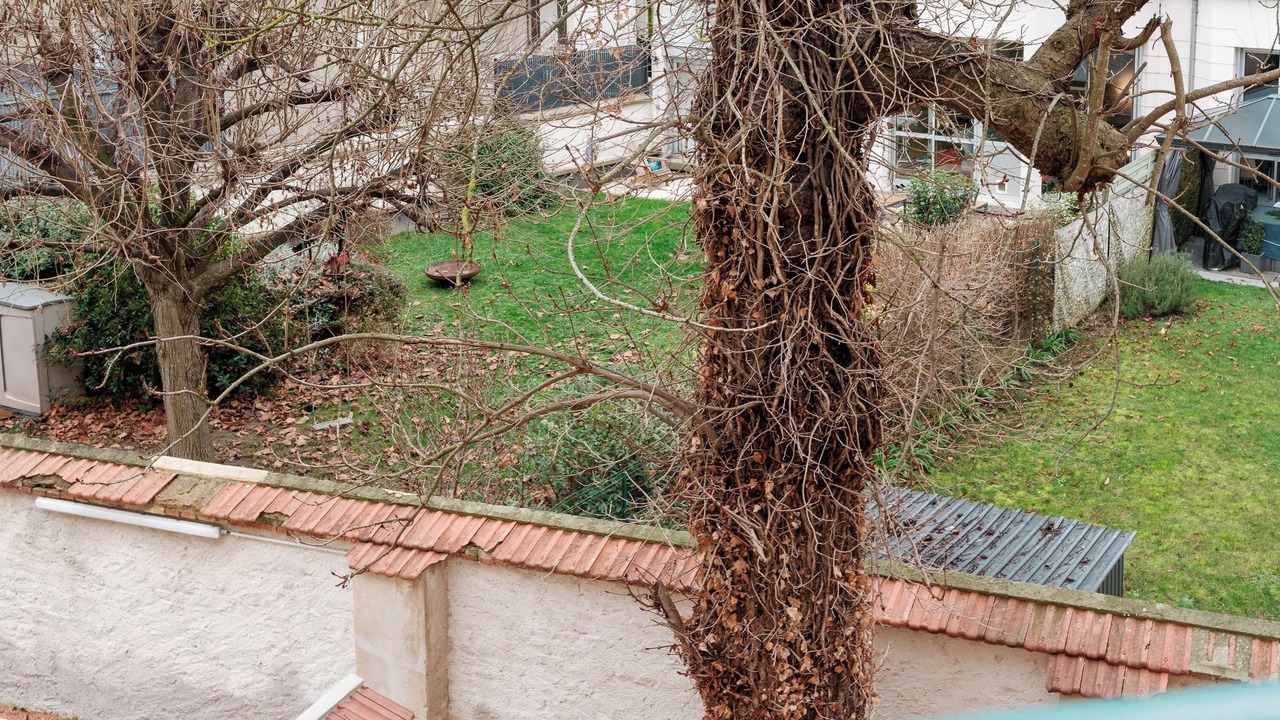 Photo of Outdoor in Thermal