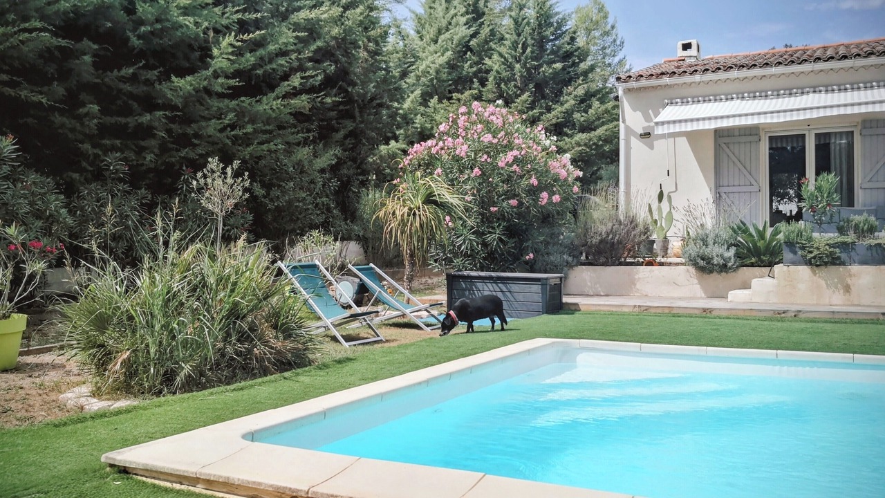 Photo of Outdoor in Lorgues