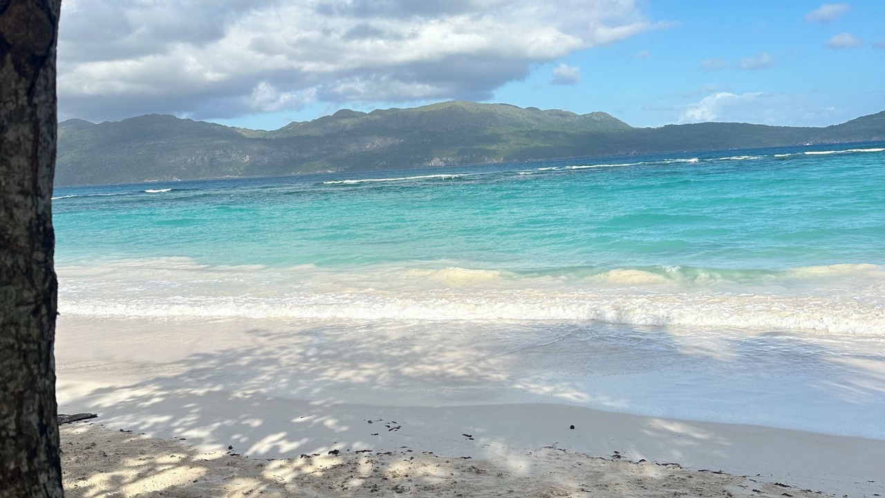 Photo of Others in Las Galeras