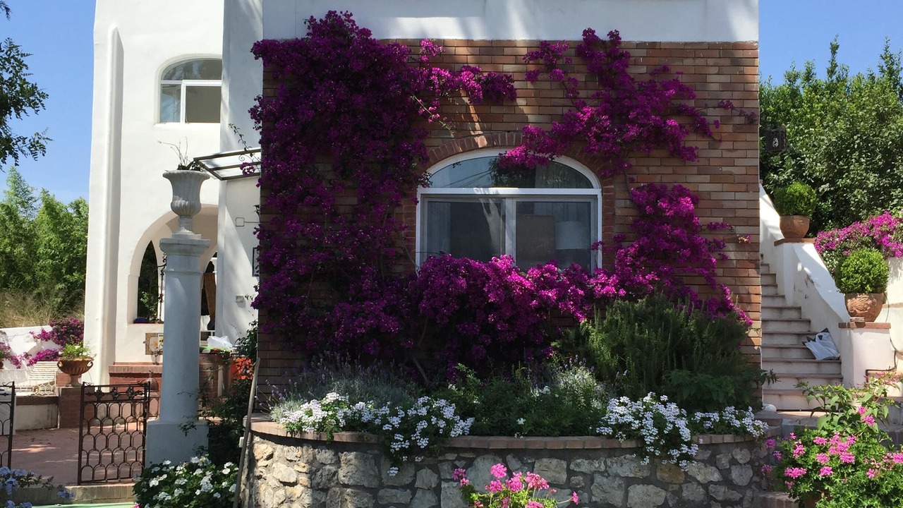 Photo of Outdoor in Anacapri