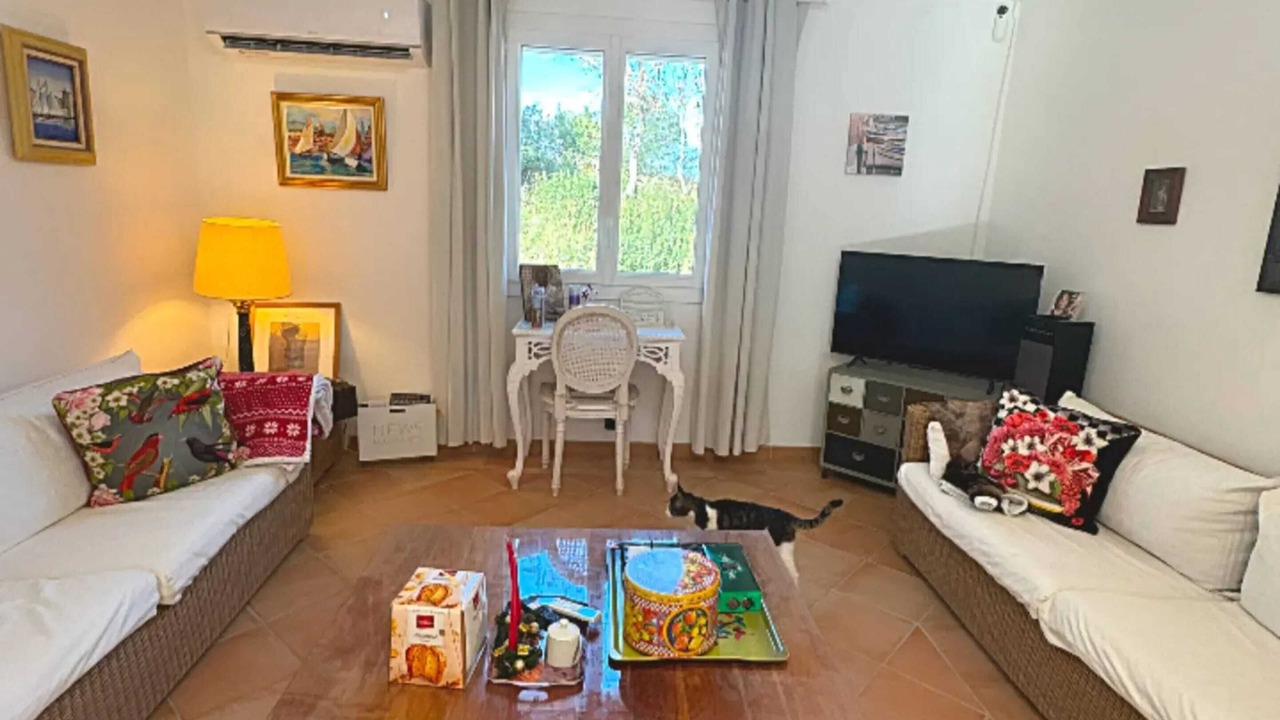 Photo of Livingroom in Les Mayons