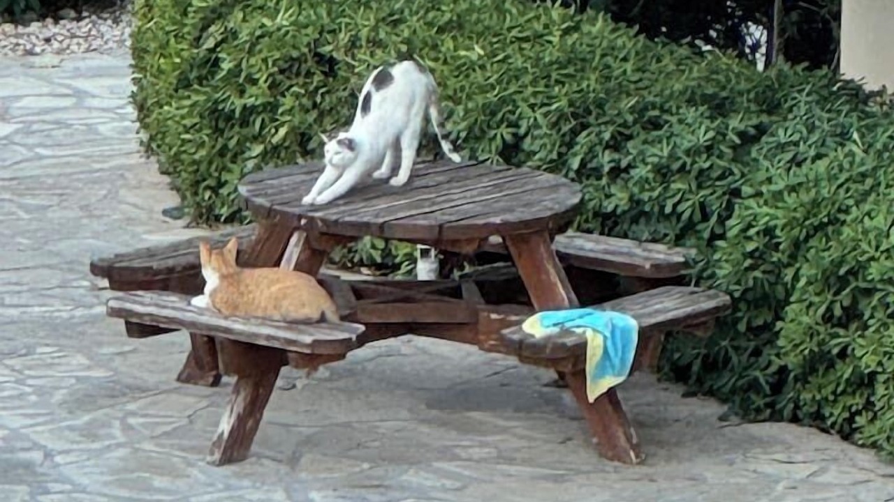 Photo of Outdoor in Makry Gialos