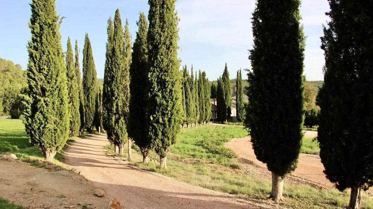 Photo of Outdoor in Saint-Laurent-du-Verdon