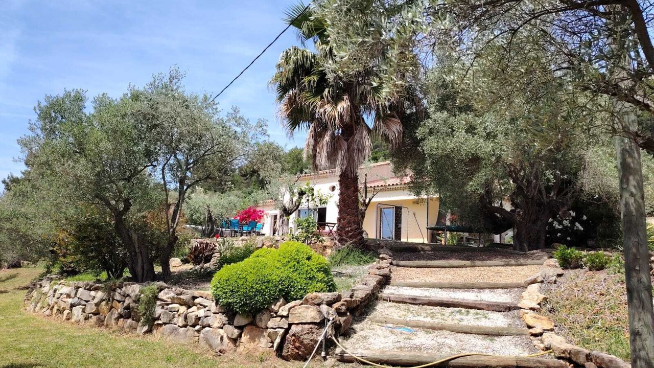 Photo of Outdoor in Cuers