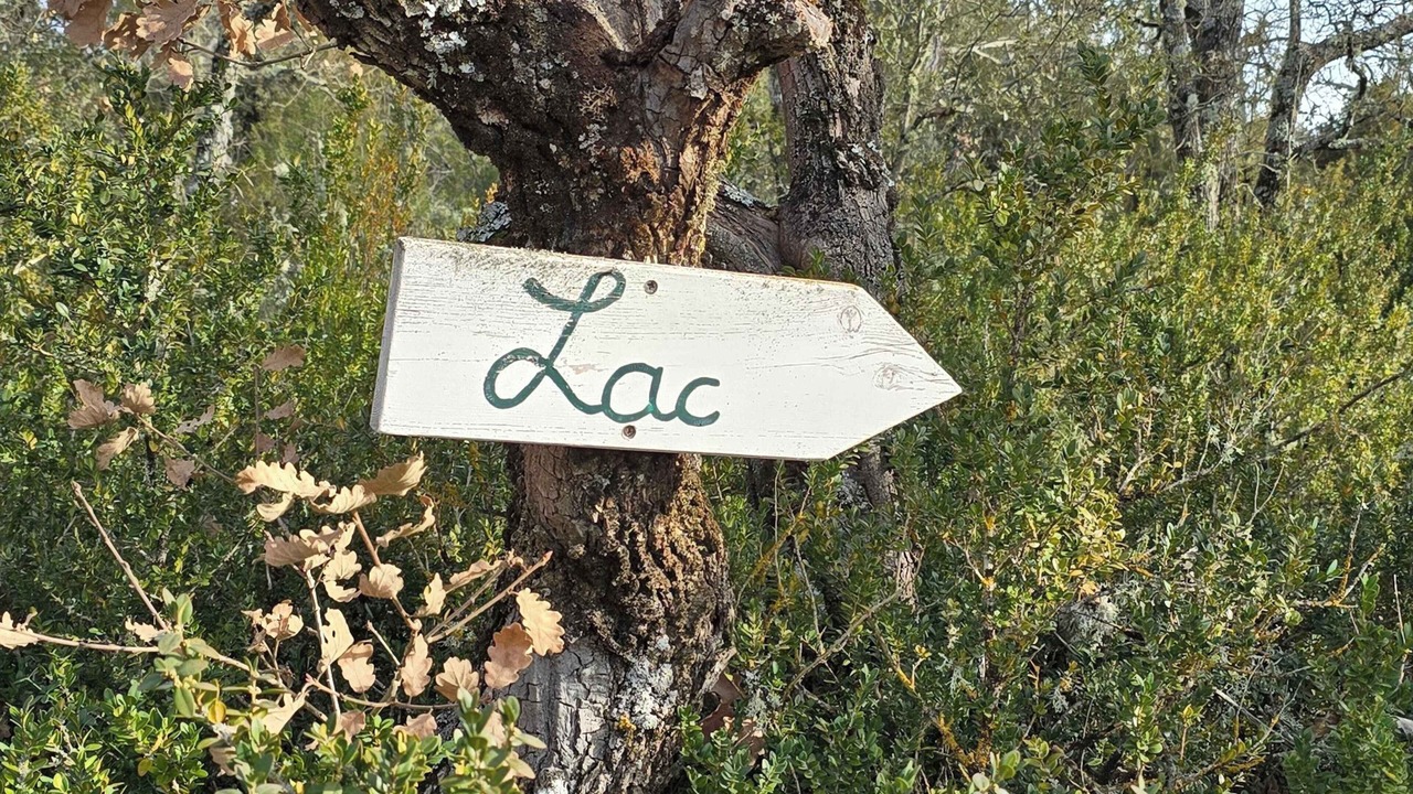 Photo of Others in Saint-Laurent-du-Verdon
