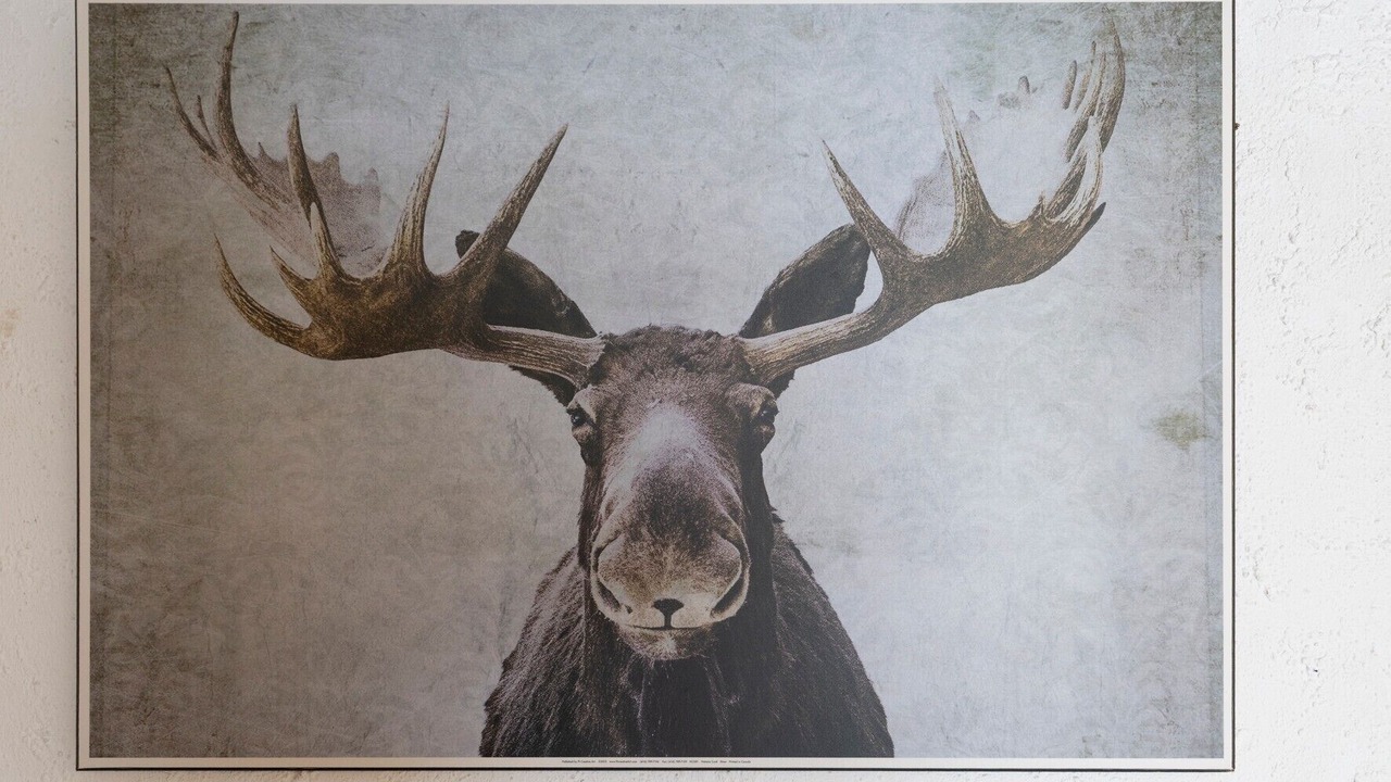 Photo of Others in Les Contamines-Montjoie