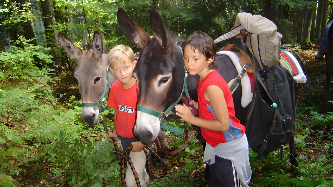 Photo of Others in Orcier