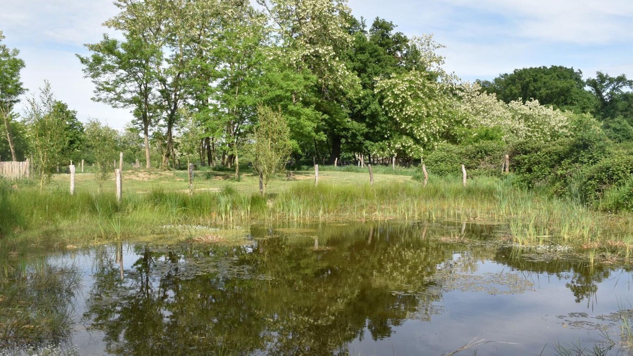 Photo of Others in Thiel-sur-Acolin