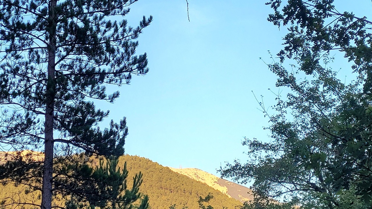 Photo of Others in Brantes