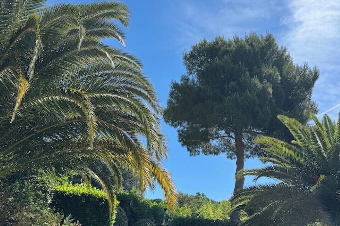 Photo of Outdoor in Sainte-Maxime - Saint-Tropez