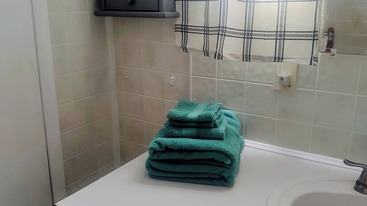 Photo of Bathroom in Betmar Acres