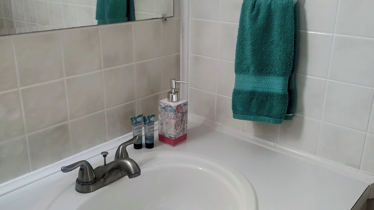 Photo of Bathroom in Betmar Acres