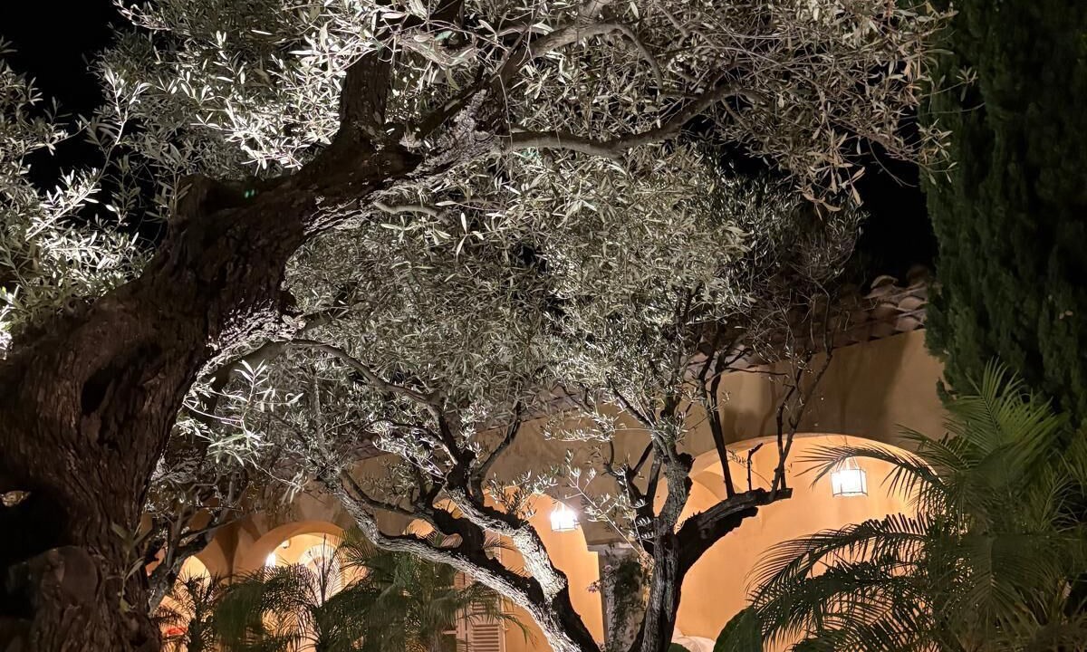 Photo of Outdoor in Sainte-Maxime - Saint-Tropez
