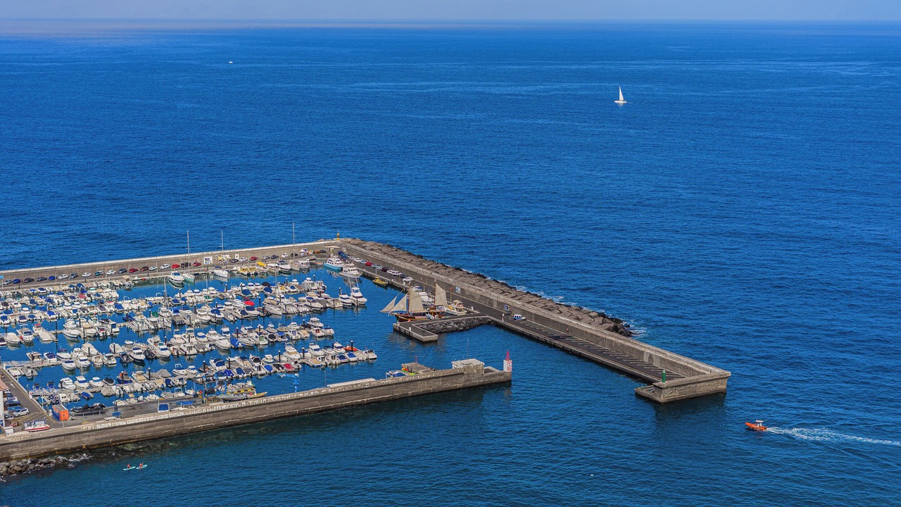 Photo of Others in Los Gigantes