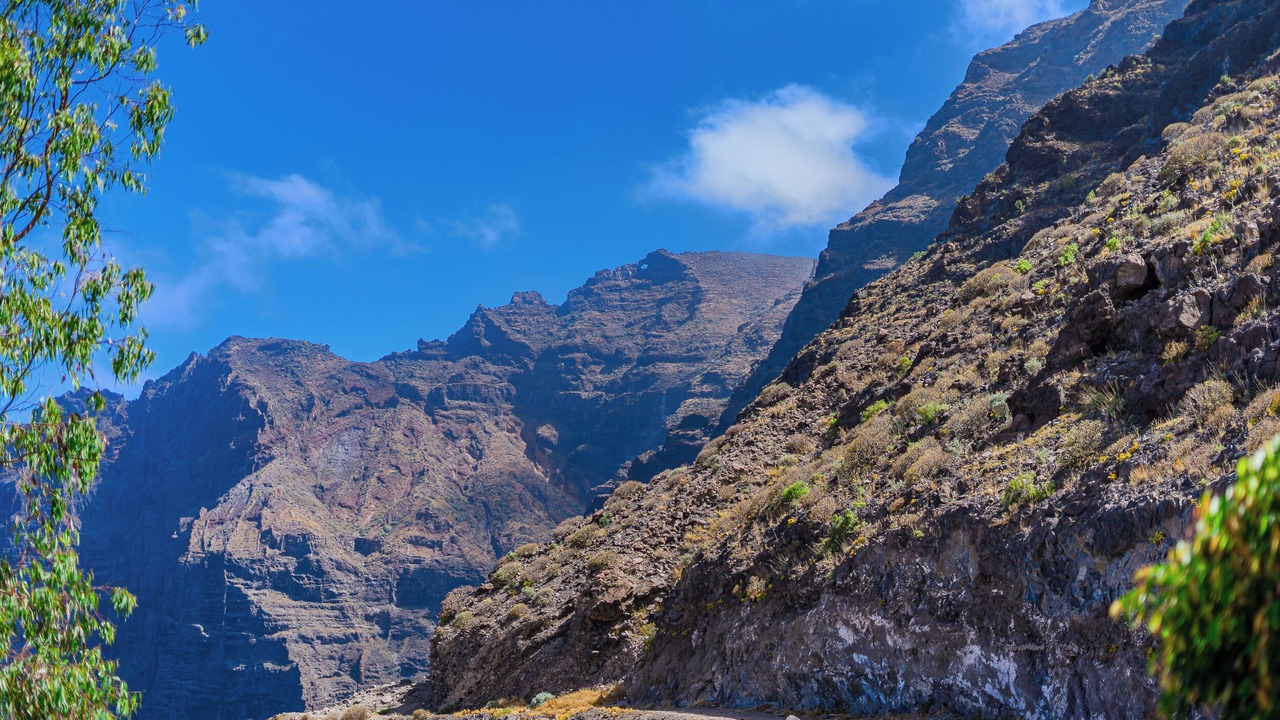 Photo of Others in Los Gigantes